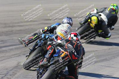 media/Feb-04-2024-SoCal Trackdays (Sun) [[91d6515b1d]]/4-Bowl Backside (11am)/